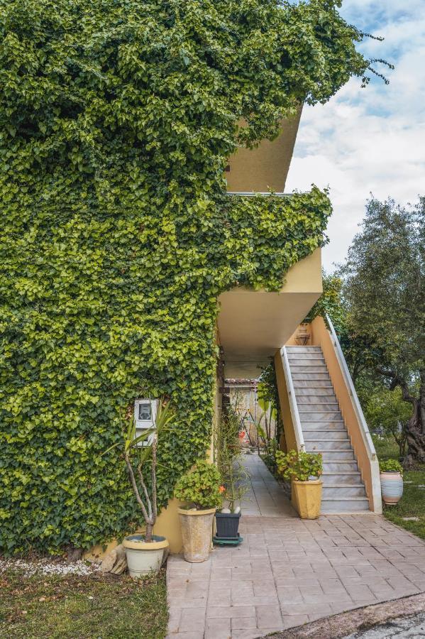 Abelia Boutique Rooms Tsilivi  Buitenkant foto